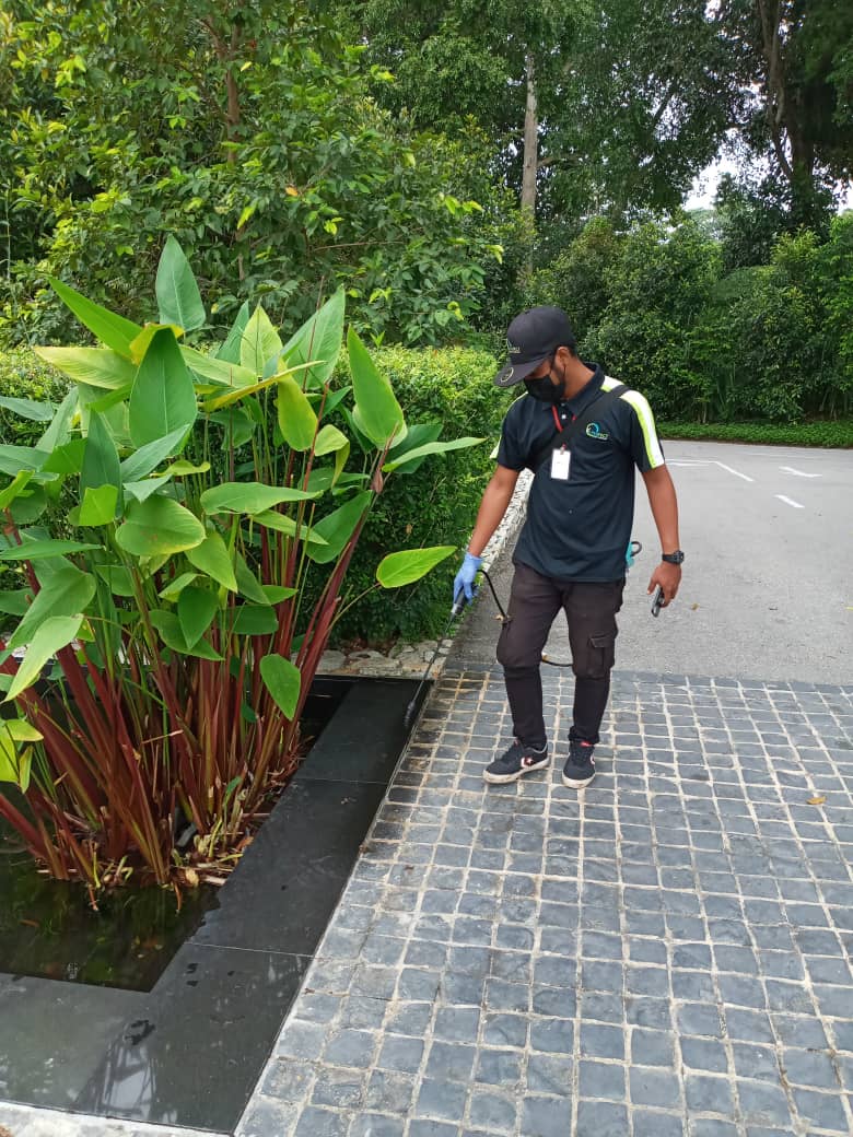 Pest Control And Termite Control Services Kluang Perfection Pest