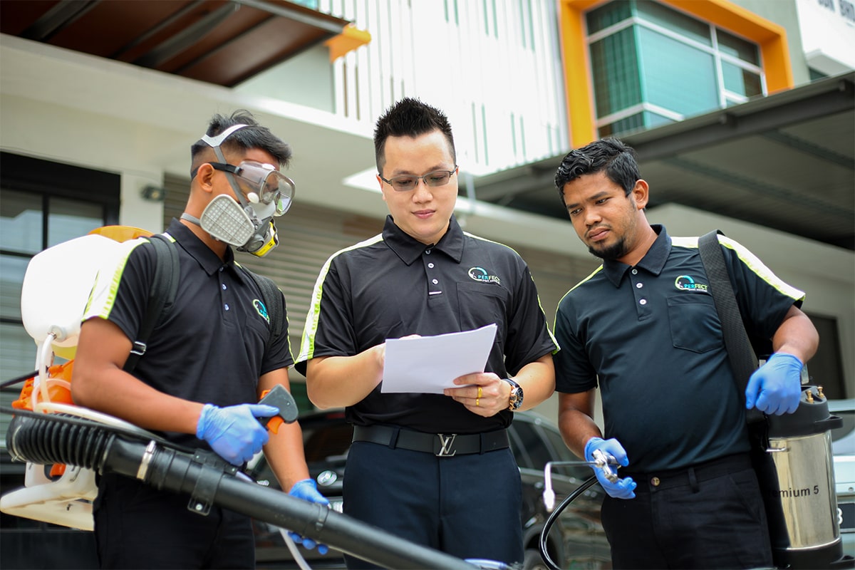 Perfection Pest Management Sdn. Bhd. – Safe, Effective And Guaranteed ...